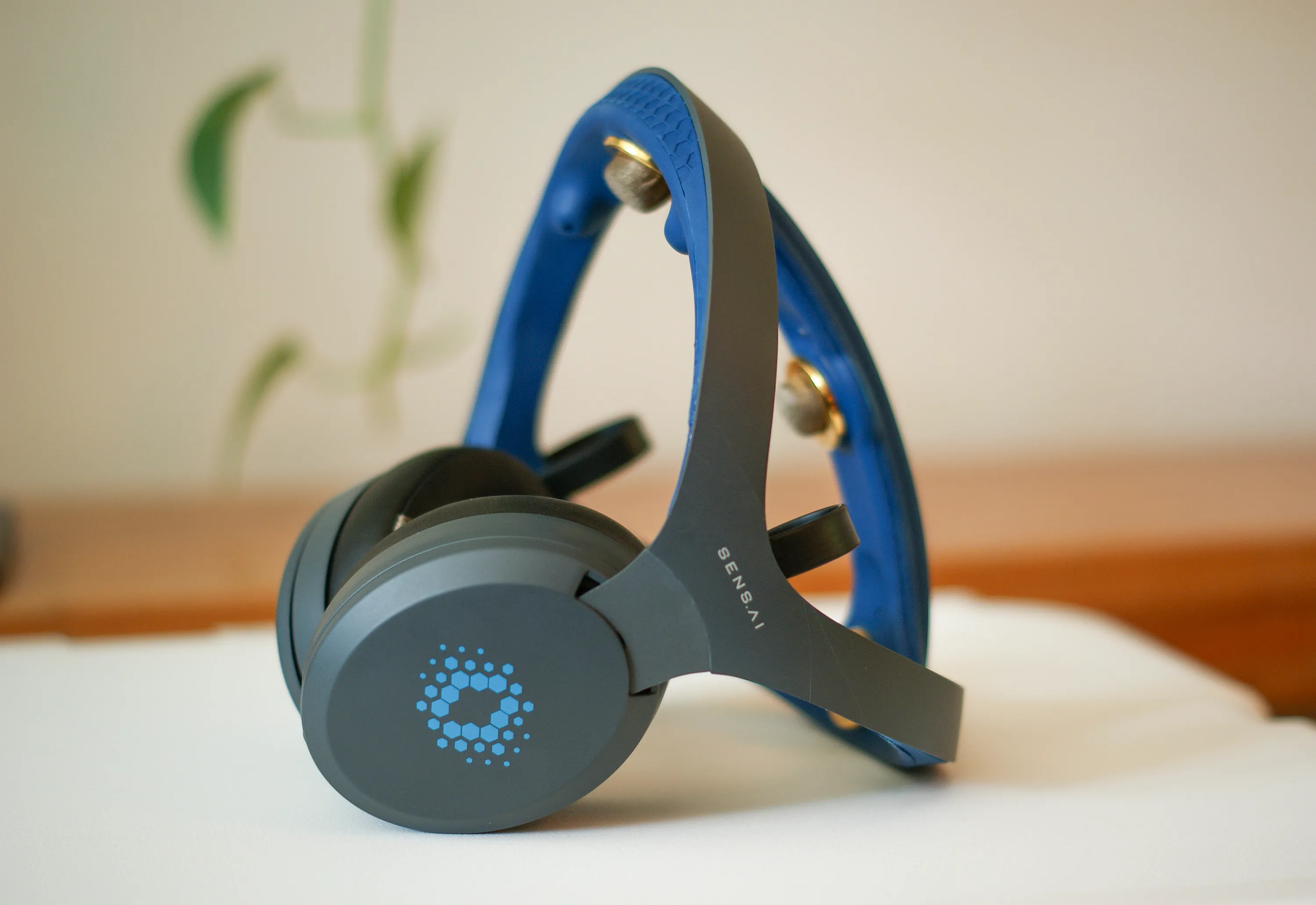 Neurofeedback